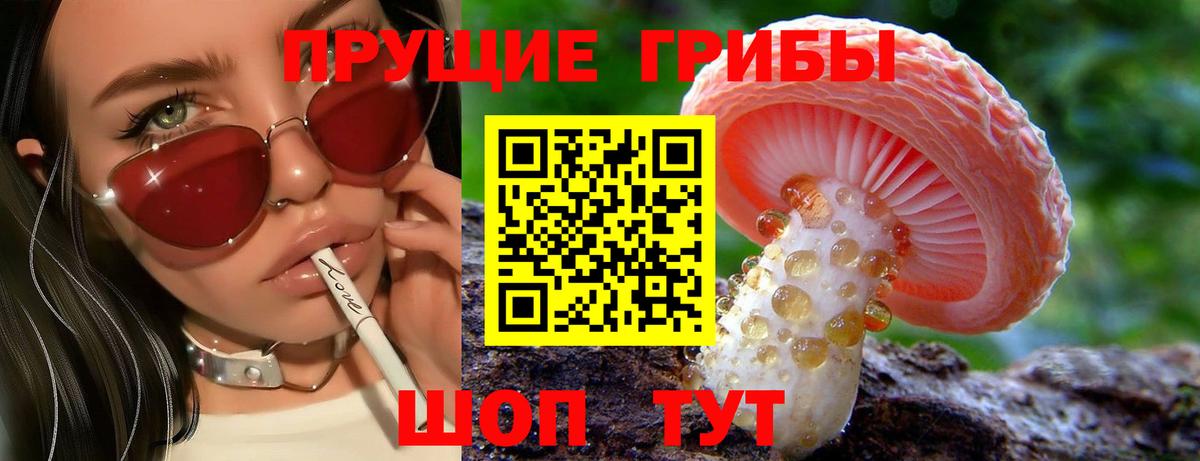 Псилоцибиновые грибы MAGIC MUSHROOMS Мичуринск