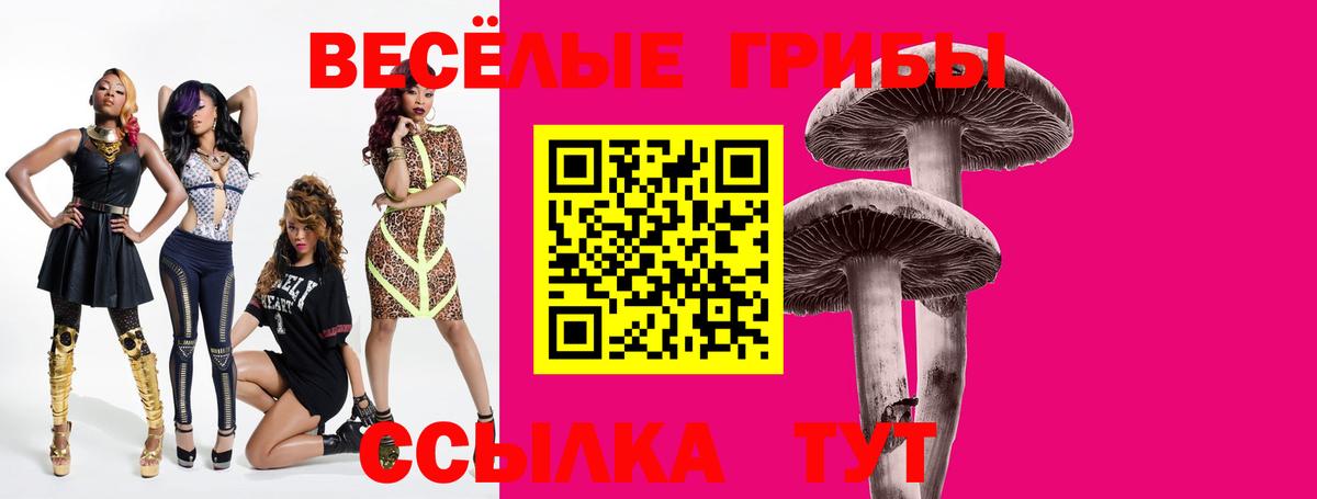 Мичуринск  Галлюциногенные грибы Psilocybine cubensis  Вход с VPN 